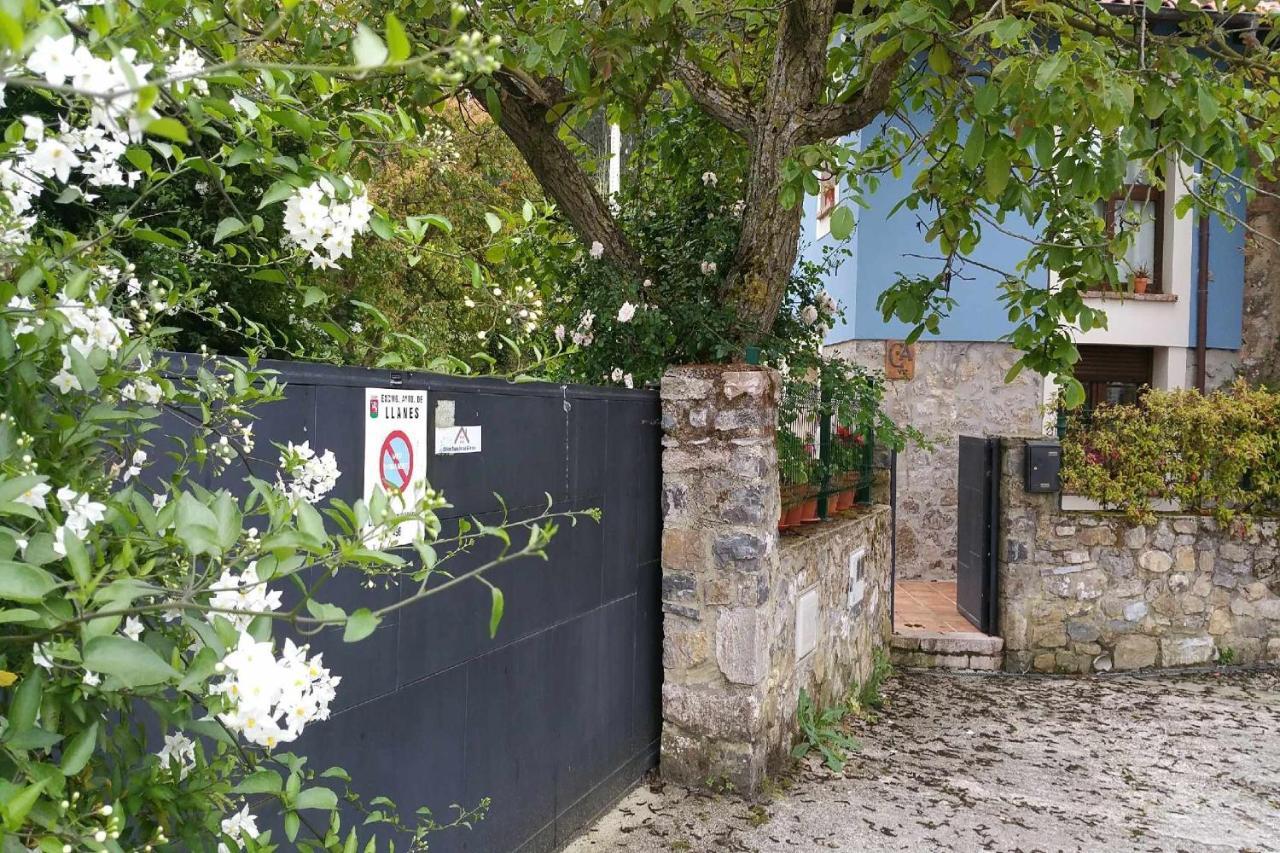 Rales  Casa De Aldea El Toral 게스트하우스 외부 사진